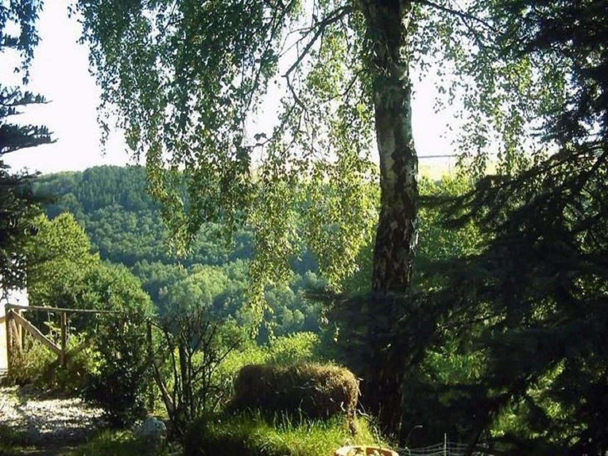 תאלפאנג Charming Apartment In Morbach Germany With Terrace מראה חיצוני תמונה