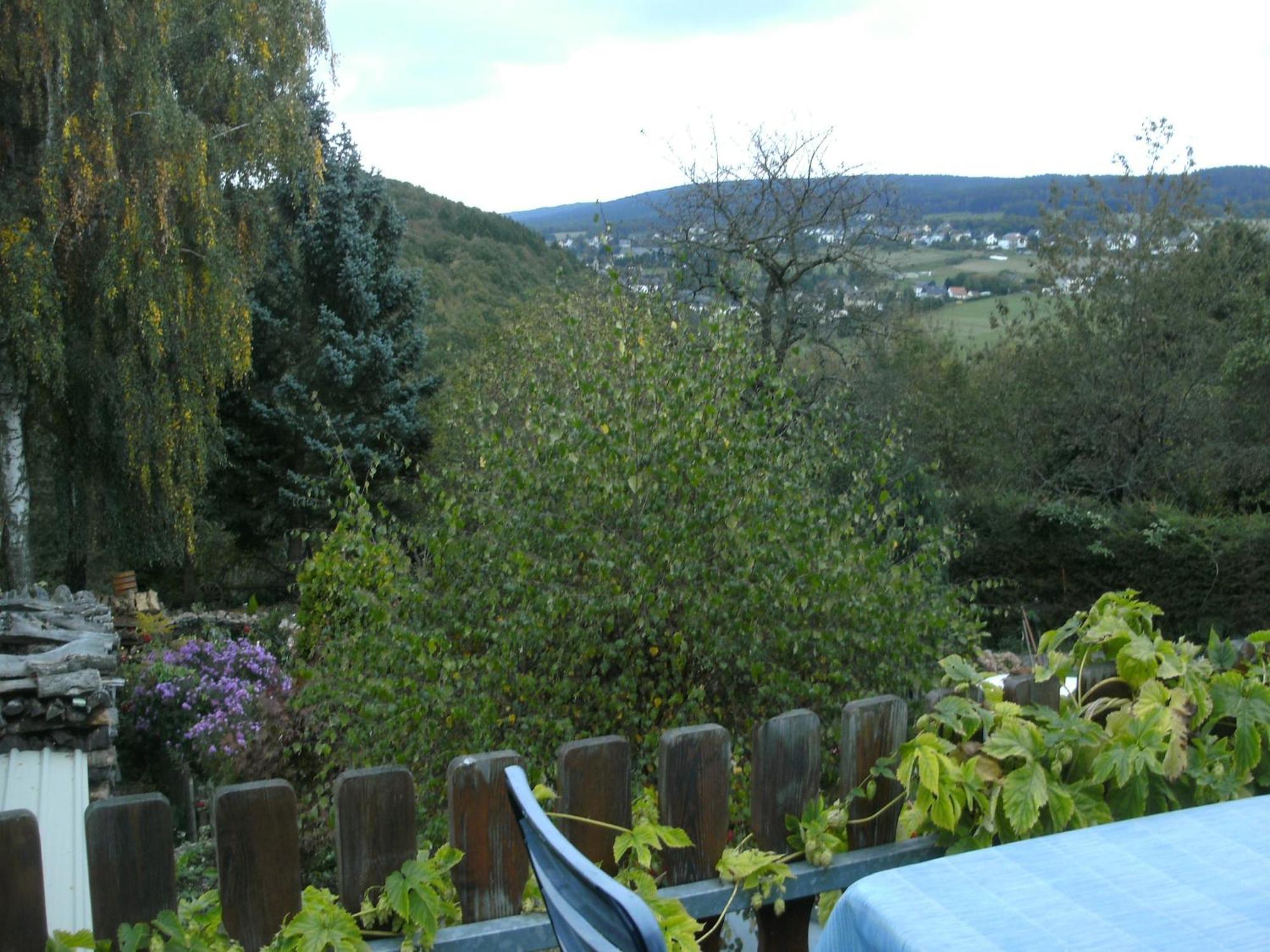 תאלפאנג Charming Apartment In Morbach Germany With Terrace מראה חיצוני תמונה